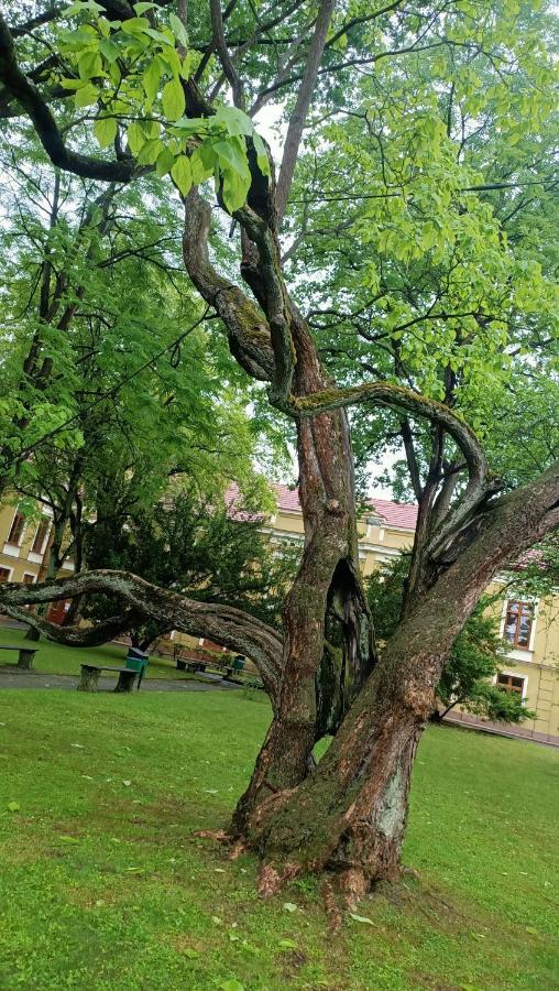 Apartament U Agaty Czernichow Krakow Zator Bagian luar foto