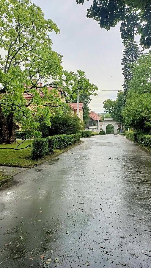 Apartament U Agaty Czernichow Krakow Zator Bagian luar foto