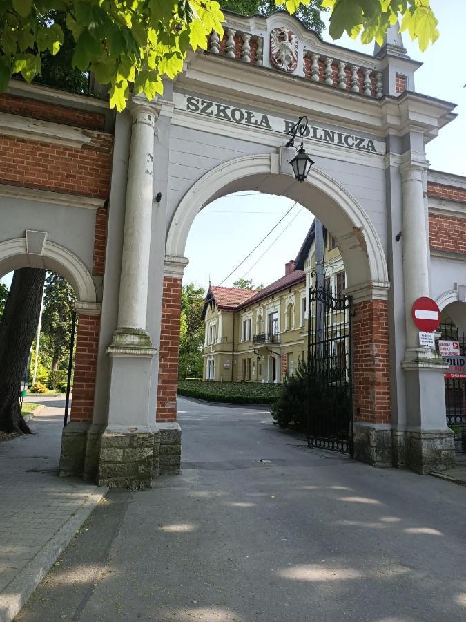 Apartament U Agaty Czernichow Krakow Zator Bagian luar foto