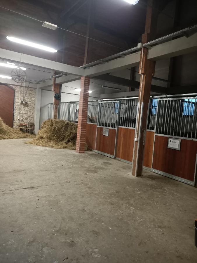 Apartament U Agaty Czernichow Krakow Zator Bagian luar foto
